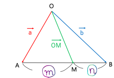 《わかりやすい》内分点のベクトル公式の簡単な証明